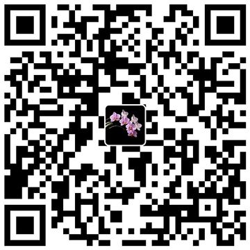 支付宝收款码